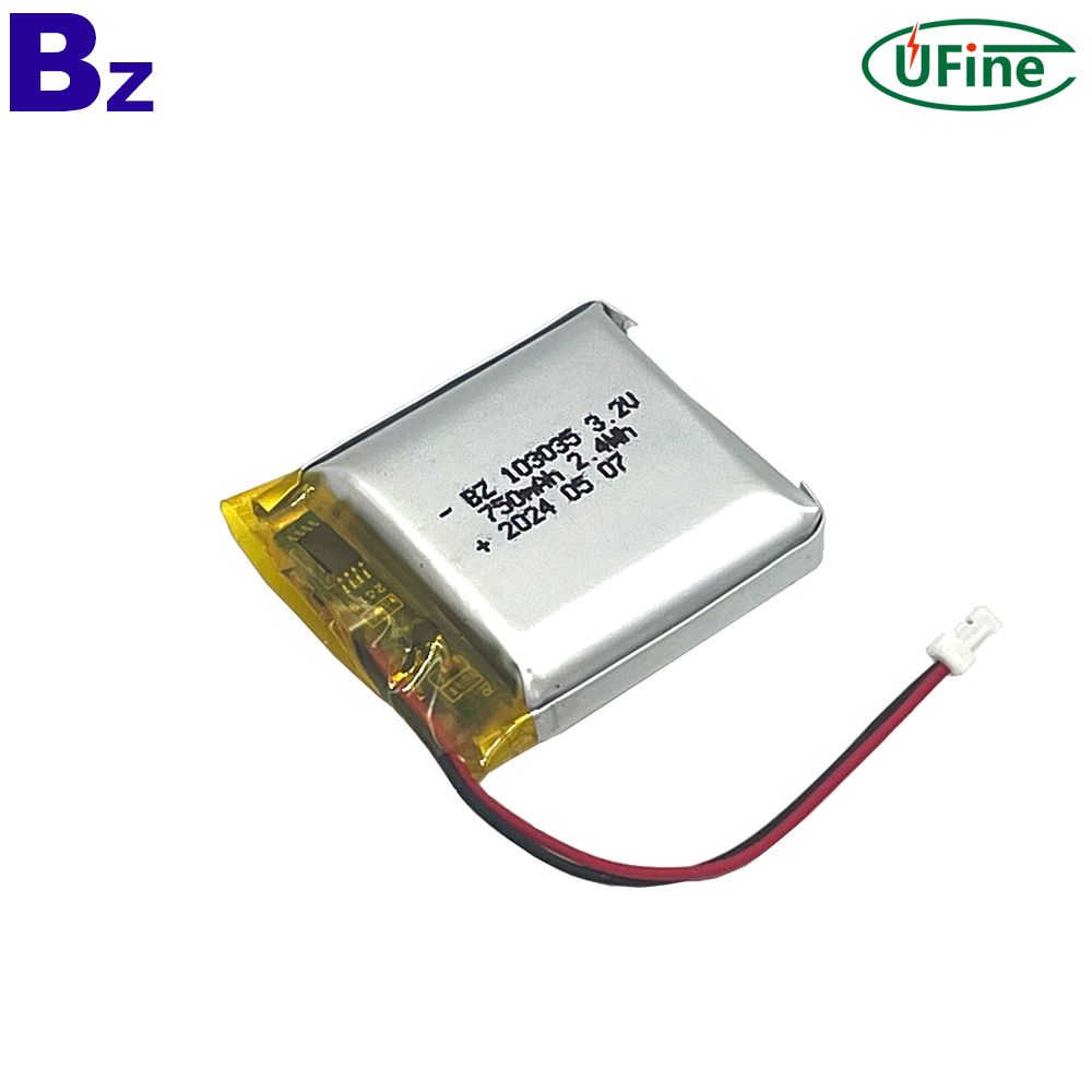 China Factory Customized 750mAh LiFePO4 Battery